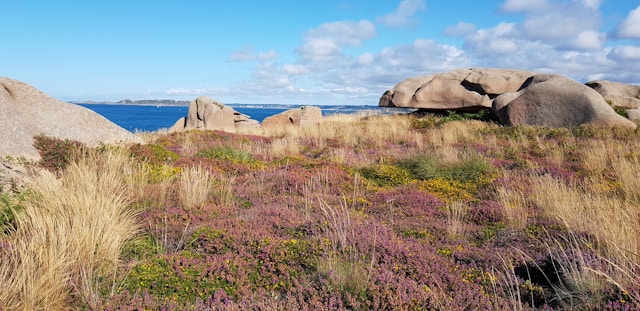 Randonnée sur le GR 34 à Carnac : À la découverte du littoral breton